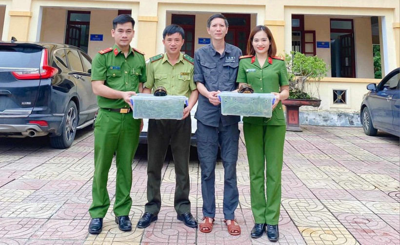 Công an huyện Hương Khê cùng người dân bàn giao các cá thể rùa cho ngành chức năng thả về tự nhiên. (Ảnh: CTV)
