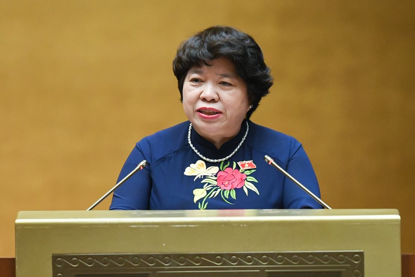 Chủ nhiệm Ủy ban Xã hội của Quốc hội Nguyễn Thúy Anh.