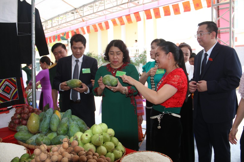 Các đại biểu tham quan gian hàng xoài và nông sản Yên Châu tại hội chợ.