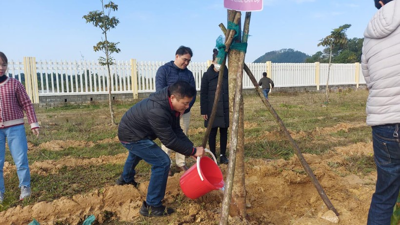 Đại học Huế phát động 'Tết trồng cây đời đời nhớ ơn Bác Hồ' ảnh 5