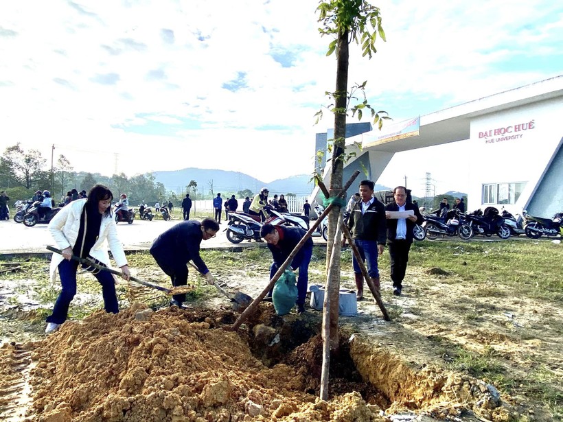 Đại học Huế phát động 'Tết trồng cây đời đời nhớ ơn Bác Hồ' ảnh 3