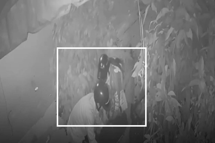 Video: Đôi nam nữ trộm chậu mai trước cửa nhà lúc rạng sáng ở TP.HCM