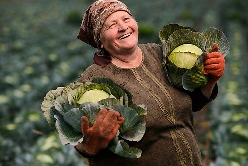 Nông sản là một trong những mặt hàng chính Ukraine xuất khẩu sang Mỹ. 