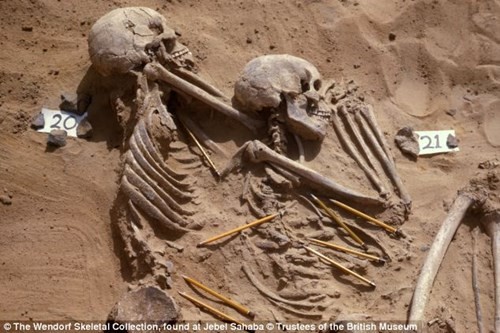 60 bộ xương giữa sa mạc tiết lộ cuộc giao chiến đầu tiên của loài người