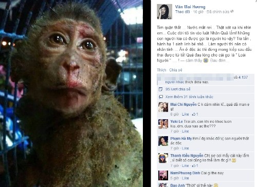 Bức ảnh chú khỉ đẫm nước mắt gây sốc cộng đồng