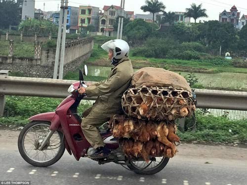 Báo Tây choáng với hình ảnh giao thông của người Việt