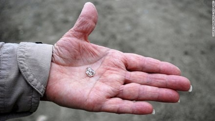 Viêm kim cương được tìm thấy trong công viên. Ảnh: CNN