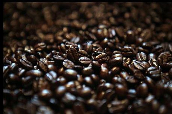 Nhiều cơ sở chế biến cà phê gây ô nhiễm nguồn nước ở Sơn La