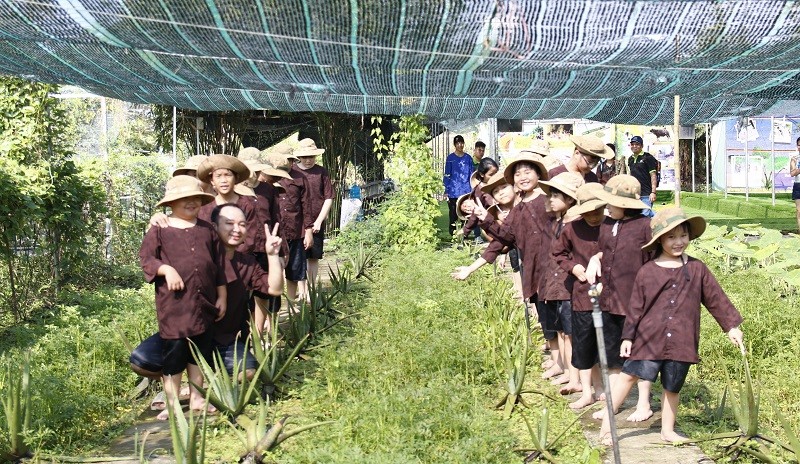 Trẻ tham gia chương trình học làm người nông dân do Trung tâm Thanh thiếu niên tổ chức.