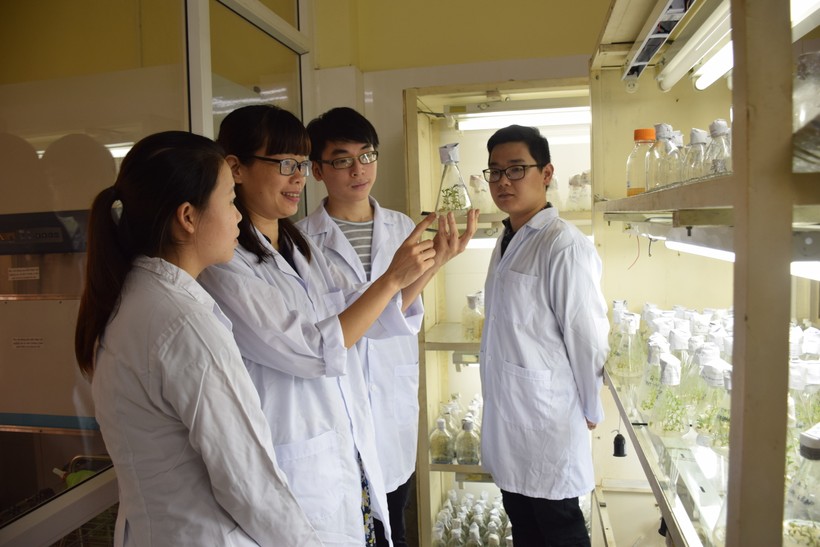 Sinh viên và giảng viên Trường Đại học Khoa học Tự nhiên kiểm tra mẫu nuôi cấy mô thực vật. Ảnh: NTCC