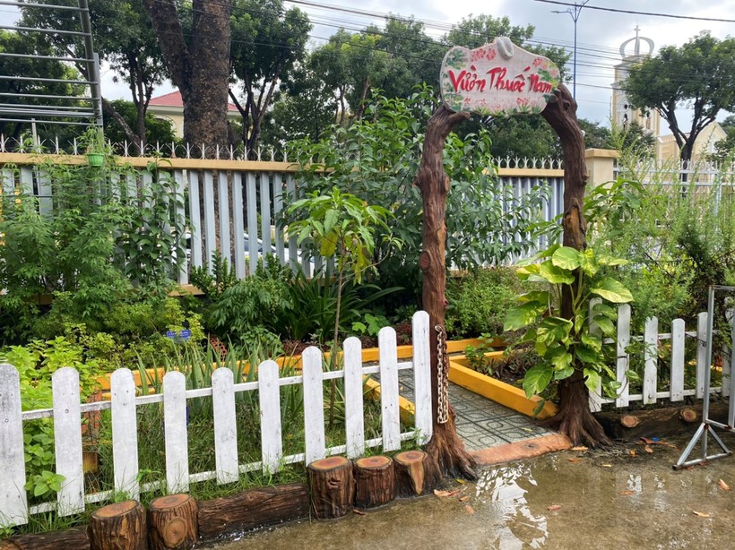 Vườn thuốc nam xanh tốt tại Trường Tiểu học Nguyễn Trãi (TP Mỹ Tho, tỉnh Tiền Giang).