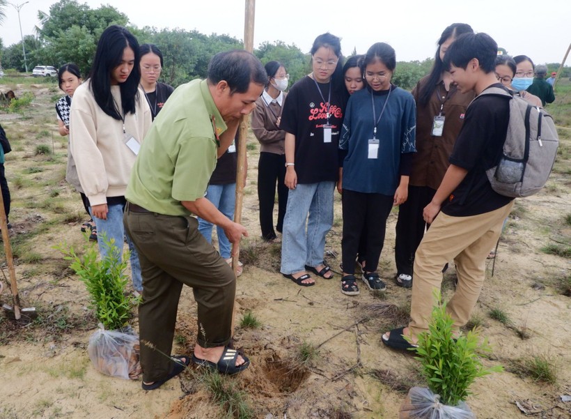 Học sinh Trường THPT chuyên Nguyễn Bỉnh Khiêm trải nghiệm thực tế với hoạt động trồng cây phòng hộ ven biển. Ảnh: NTCC