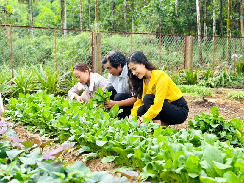 Thầy Nguyễn Văn Hối (giữa) chăm sóc vườn rau tại điểm trường Tắk Rối (Ảnh: NVCC)