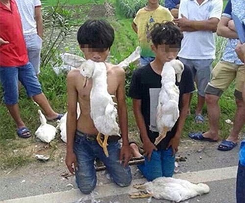 Mạng xã hội dậy sóng vụ hai cậu bé Trung Quốc quỳ gối ngậm xác vịt