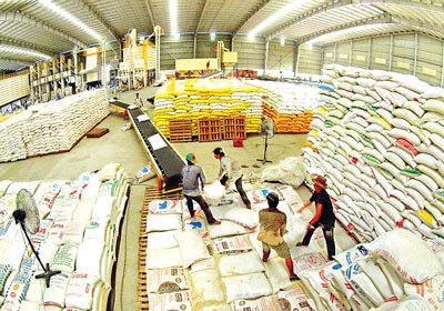Từ 1/3, Chính phủ mua tạm trữ 1 triệu tấn gạo