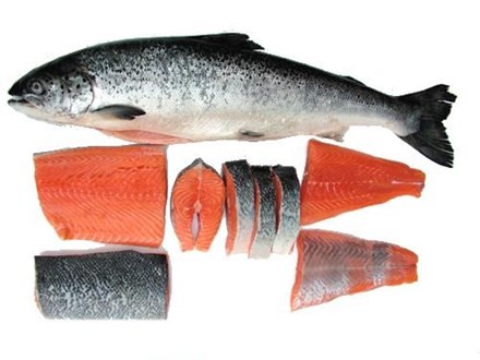 Ăn cá 2 lần/ tuần ngăn chặn được nhiều bệnh mãn tính