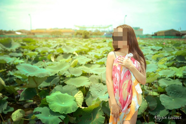 Đỏ mặt với hình ảnh "khó đỡ" của thiếu nữ Việt bên hoa sen