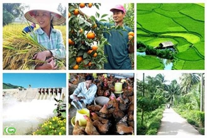 Việt Nam tham gia dự án khu vực do FAO tài trợ