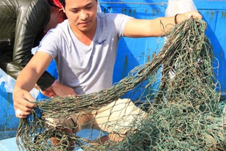 Bùn "lạ" làm hại ngư dân: Quảng Trị khẩn trương điều tra