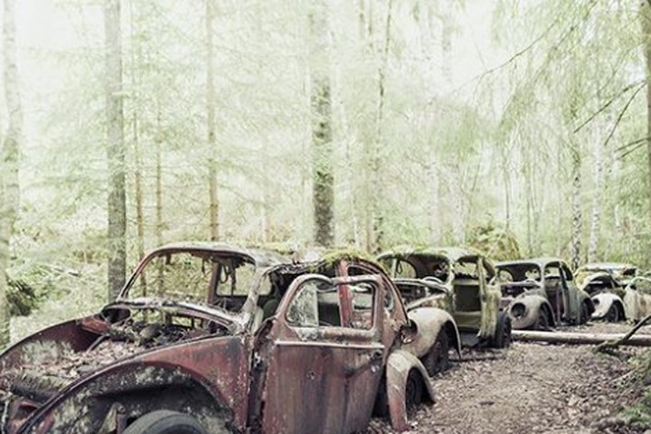Rùng rợn "nghĩa địa xe" với hàng trăm chiếc ô tô đang phân hủy giữa rừng hoang