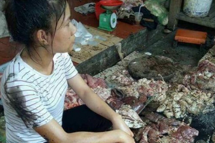 Vụ tạt chất thải vào thịt: Doanh nghiệp sẽ mua hết số lợn tồn của chị Xuyến