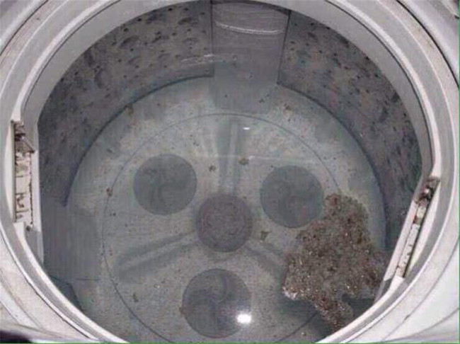 Vi khuẩn trong máy giặt nhiều hơn ở nhà vệ sinh? Mách bạn thủ thuật loại bỏ chúng dễ dàng, siêu hiệu quả
