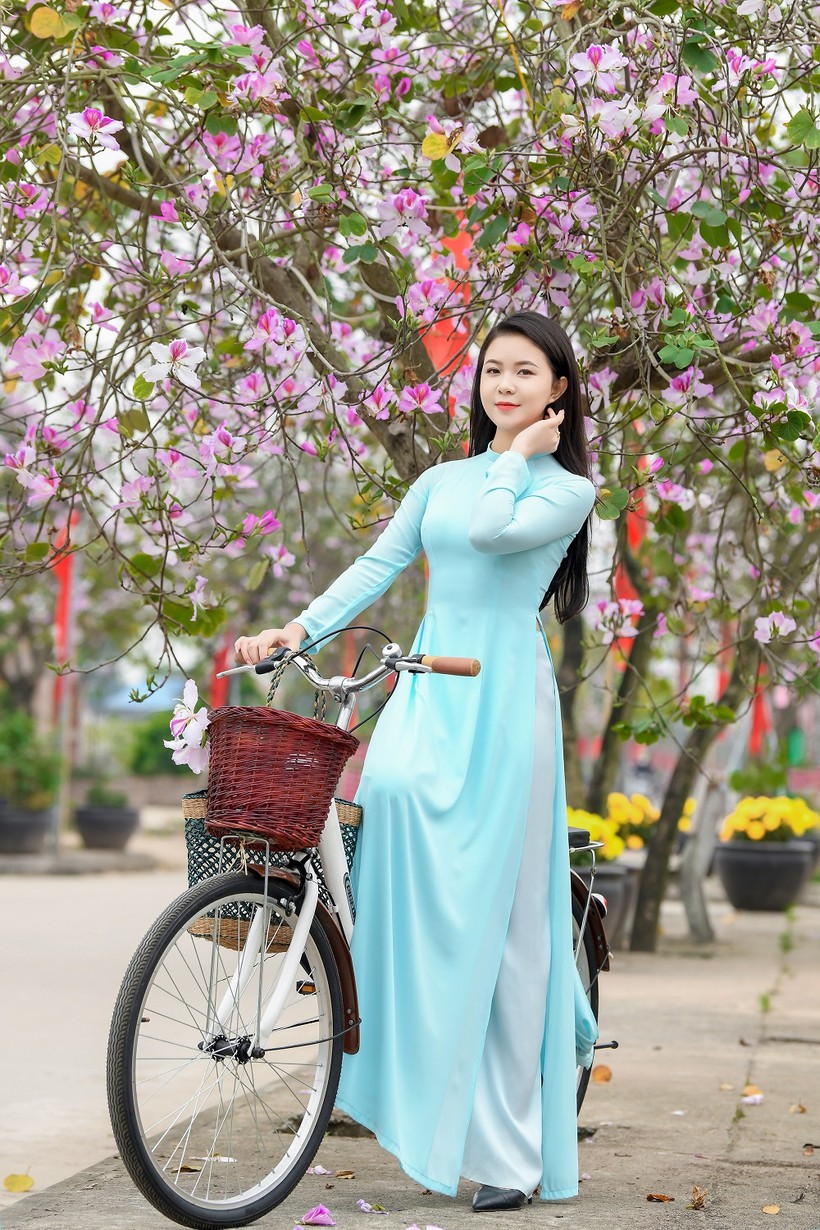 Nữ sinh Đại học Văn hóa Hà Nội thướt tha áo dài với hoa ban tím ảnh 5