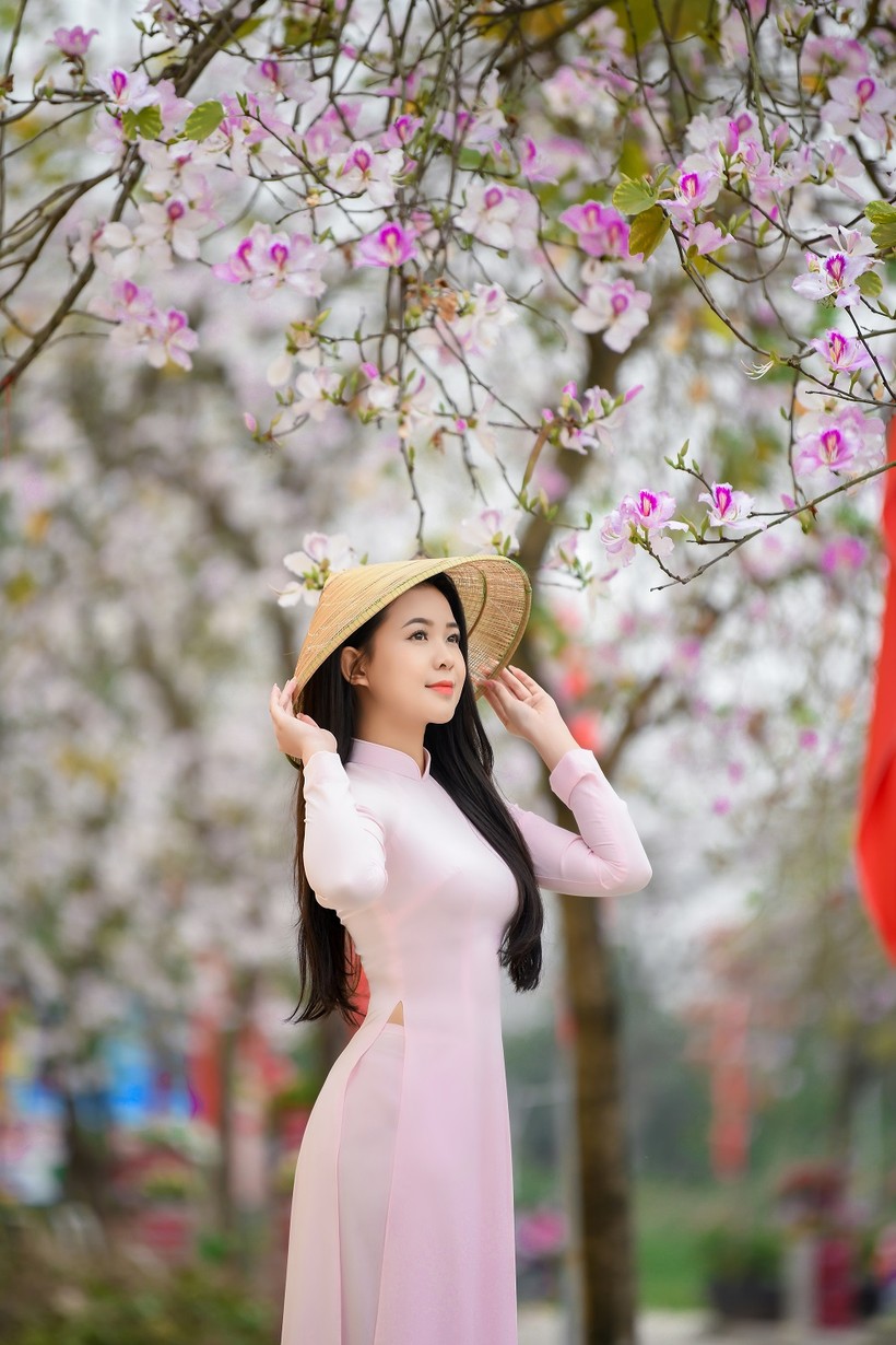 Nữ sinh Đại học Văn hóa Hà Nội thướt tha áo dài với hoa ban tím ảnh 8