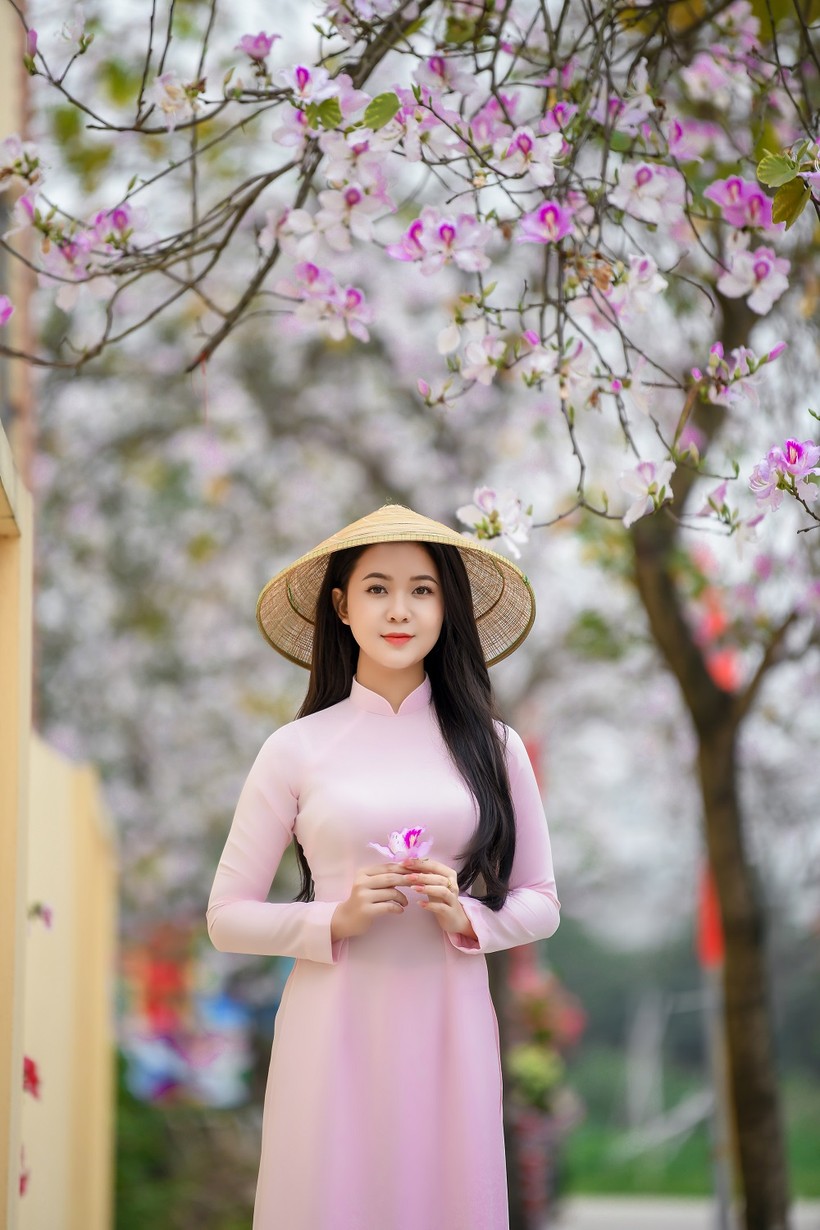 Nữ sinh Đại học Văn hóa Hà Nội thướt tha áo dài với hoa ban tím ảnh 9