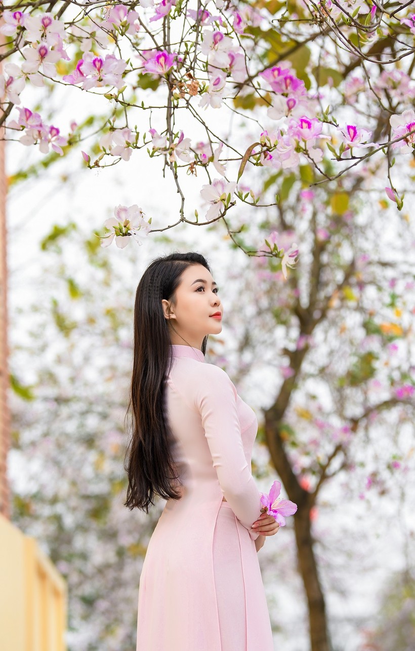 Nữ sinh Đại học Văn hóa Hà Nội thướt tha áo dài với hoa ban tím ảnh 4