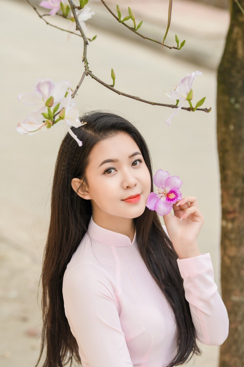 Nữ sinh Đại học Văn hóa Hà Nội thướt tha áo dài với hoa ban tím ảnh 2