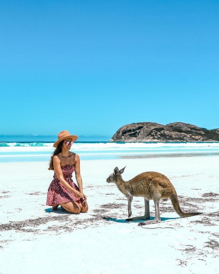 10 lý do bạn nên du học tại Úc ảnh 5