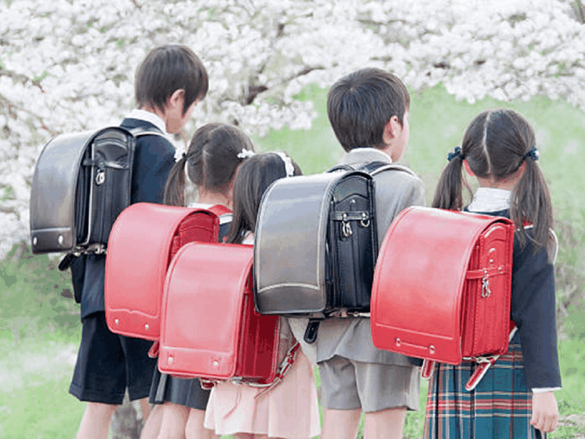Cặp sách “quá khổ” nặng gần 10kg của học sinh tiểu học Nhật Bản  ảnh 2