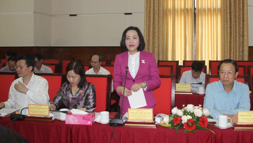 Bà Nguyễn Thị Thanh phát biểu kết luận buổi làm việc.