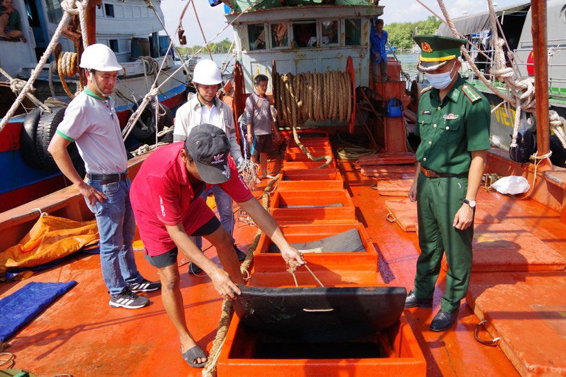 Bắt giữ tàu chở hơn 100.000 lít dầu DO không rõ nguồn gốc