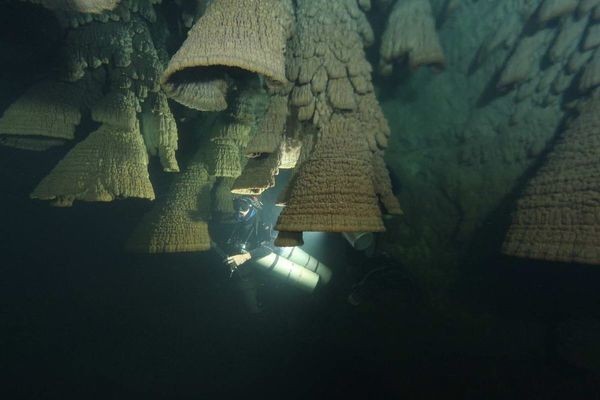 Bí ẩn hang động chứa đầy "chuông tử thần" ở Mexico.