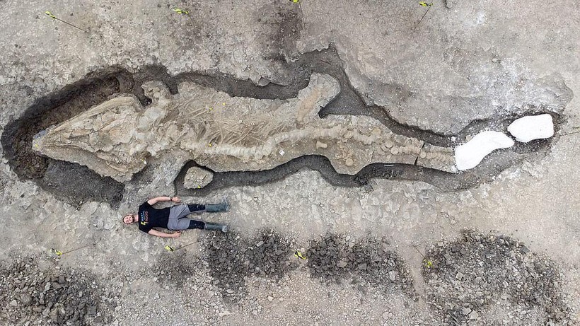 Phát hiện hóa thạch của rồng biển khổng lồ dưới đáy hồ nước.