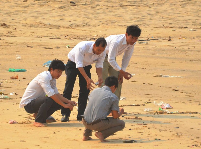 Cơ quan chức năng kiểm tra thực trạng việc cá chết hàng loạt tại các bãi biển ở Quảng Bình