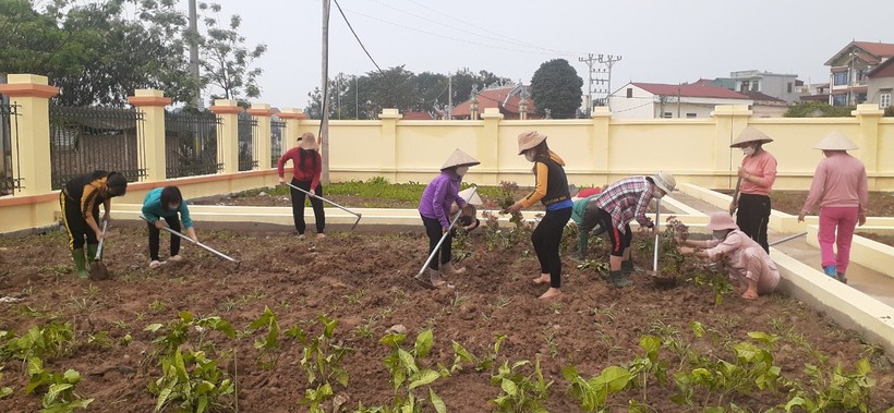 Nhiều trường học Ba Vì (Hà Nội) tổ chức Tết trồng cây  ảnh 2