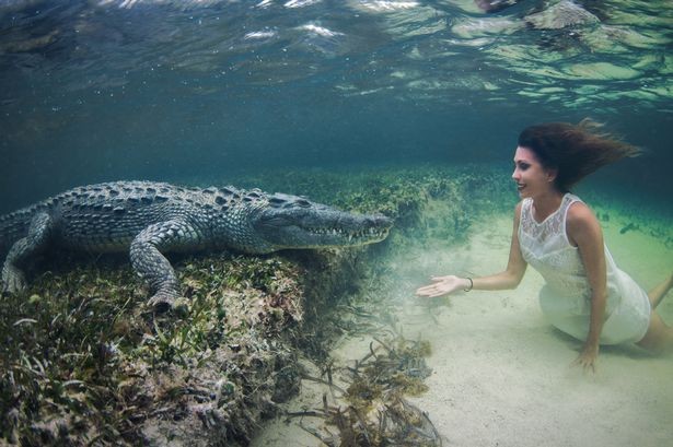 Người mẫu liều mạng bơi cạnh cá sấu để có bộ ảnh đẹp