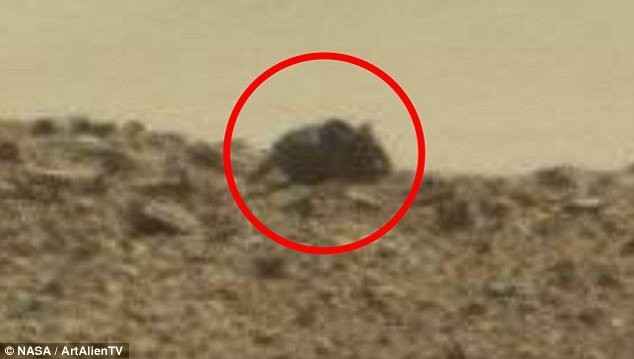 Phát hiện chuột khổng lồ trên sao Hỏa