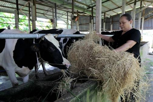  Vinamilk giúp nông dân nâng cao năng lực  cạnh tranh khi hội nhập TPP