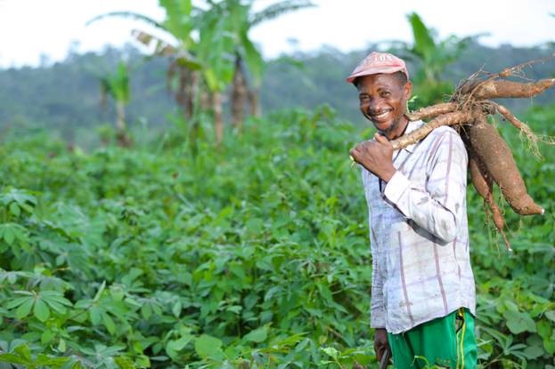 Giải thưởng cao nhất năm 2016 thuộc về tổ chức Agro-Hub của Cameroon với sáng kiến hỗ trợ cộng đồng nông dân trồng sắn nâng cao chất lượng sản phẩm và kết nối với hệ thống tiêu thụ

