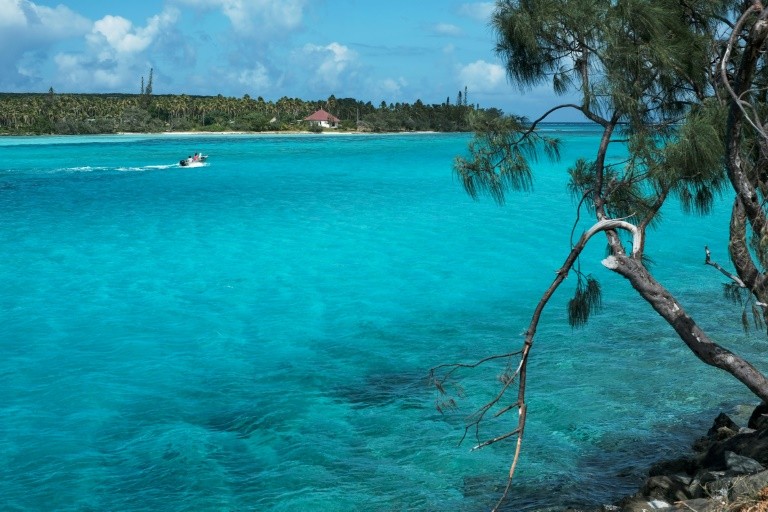 Các đội tuần tra ở New Caledonia được thiết lập để bảo vệ các rạn san hô gần như nguyên sơ
