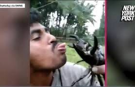 Chàng trai Ấn Độ bị cua quắp suýt đứt lưỡi vì nghịch dại