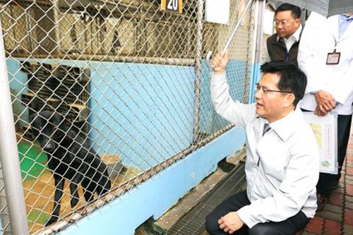 Đài Loan buộc tội hai lao động Việt giết và nấu thịt chó
