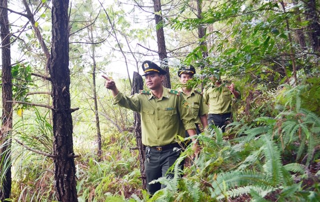 Lực lượng kiểm lâm tuần tra vùng rừng núi phía Đông Bắc