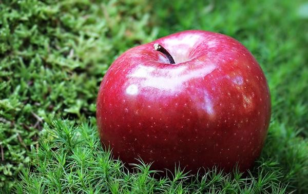 Thích ăn táo nhất định phải nắm rõ cách ăn tốt nhất để tăng gấp đôi công dụng