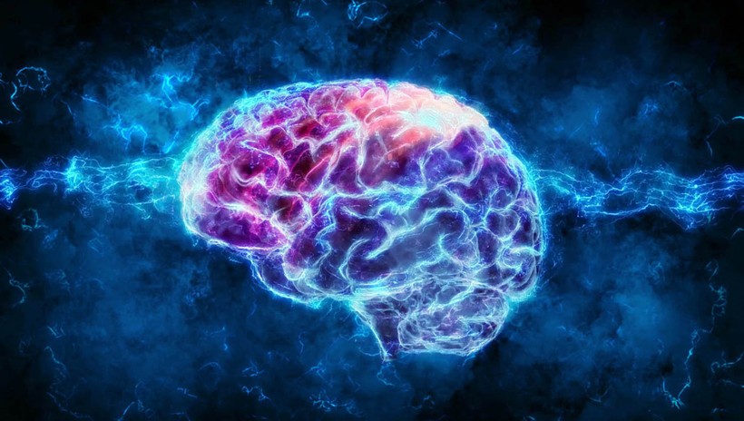 Mô phỏng não người trong trí tuệ nhân tạo