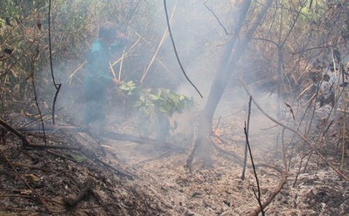Ít nhất 15 ha rừng bị cháy tại xã Sơn Thành, tỉnh Nghệ An